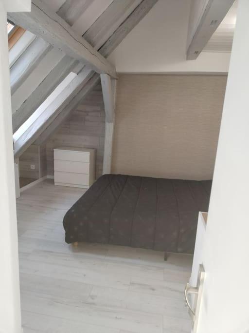 Charmant Appartement Cosy 塞莱斯塔 外观 照片