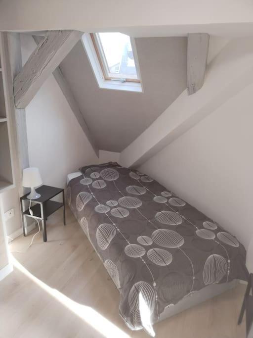 Charmant Appartement Cosy 塞莱斯塔 外观 照片